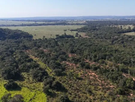 Fazenda em Cipolândia