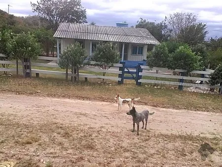 Fazenda em Zona Rural