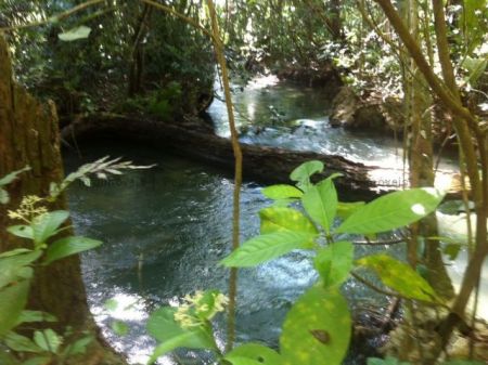 Chácara em Zona Rural