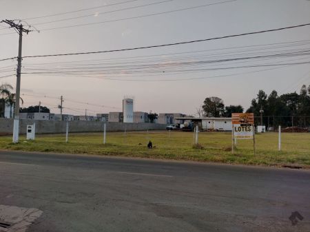 Área em Jardim São Conrado