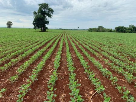 Fazenda em Zona Rural