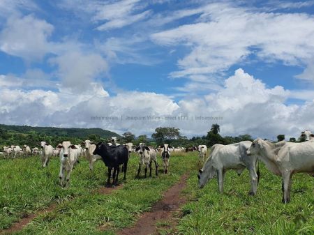 Fazenda em Zona Rural