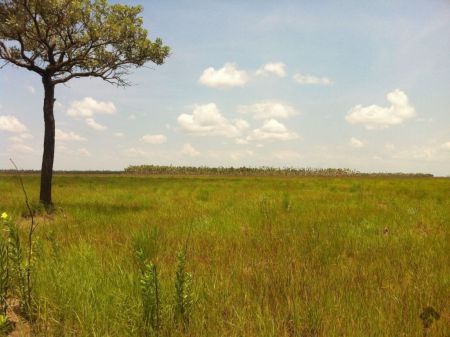 Fazenda em Zona Rural