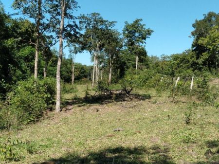 Chácara em Zona Rural