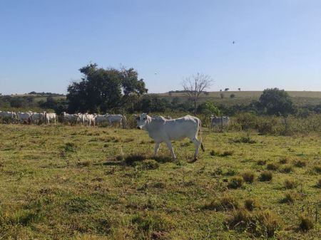 Fazenda em Zona Rural
