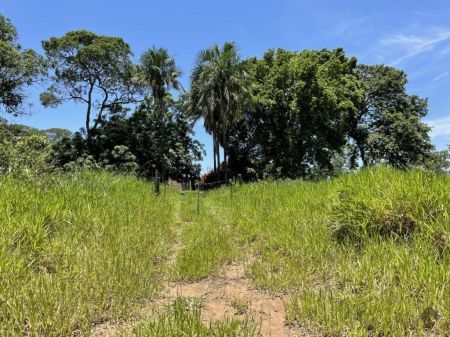 Sitio em Vila Nova Terenos