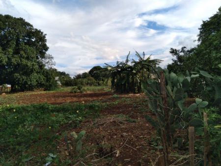 Área em Indápolis