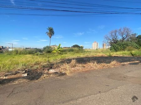 Área em Amambaí