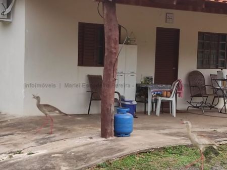 Fazenda em Zona Rural