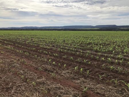 Fazenda em Zona Rural