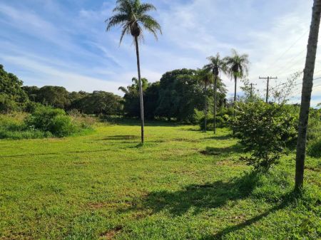 Área em Jardim Seminário