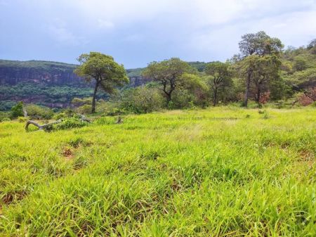 Fazenda em Zona Rural