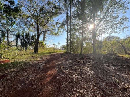 Área em Mata do Segredo