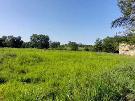 Área em Vila Machado