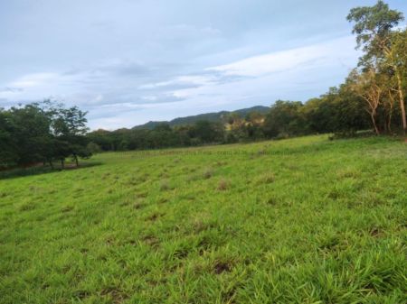 Fazenda em Zona Rural