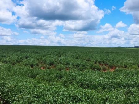 Fazenda em Zona Rural