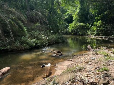 Chácara em Zona Rural