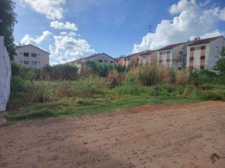 Área em Tijuca