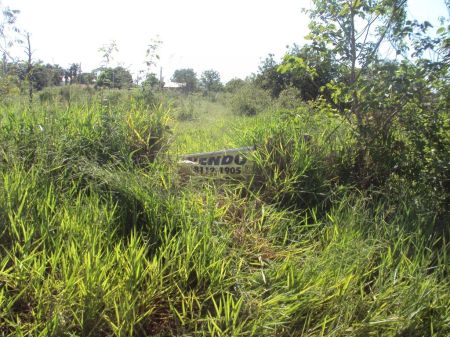 Terreno em Vila Haro