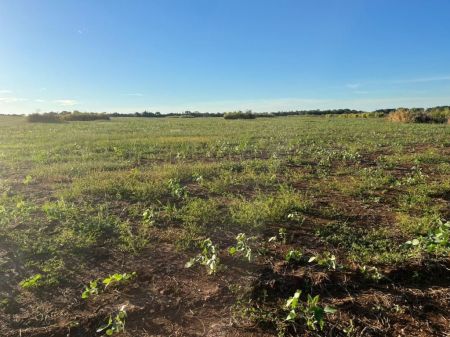 Fazenda em Zona Rural