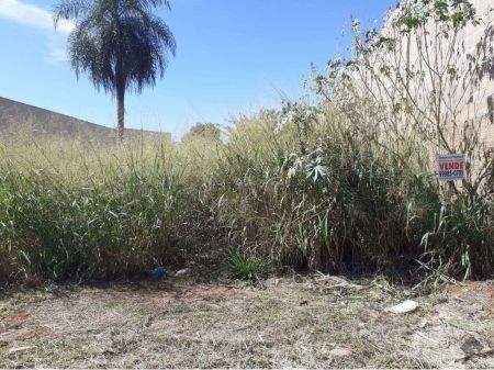 Terreno em Nova Campo Grande