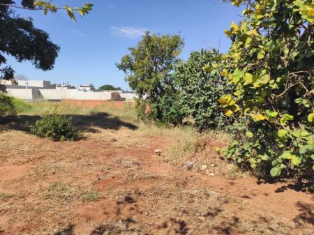 Terreno em Jardim Mansur