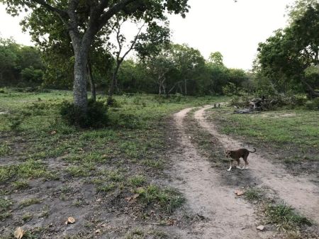 Fazenda em Zona Rural