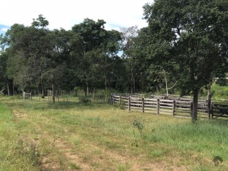 Fazenda em Zona Rural