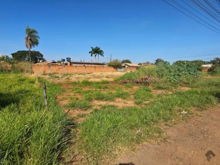 Terreno em Nova Campo Grande