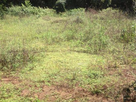 Terreno em Maria de Lourdes