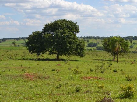 Chácara em Zona Rural