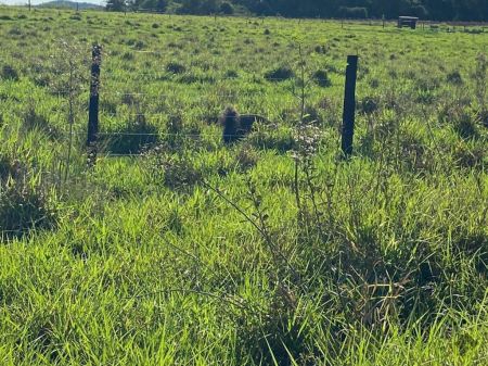 Chácara em Zona Rural