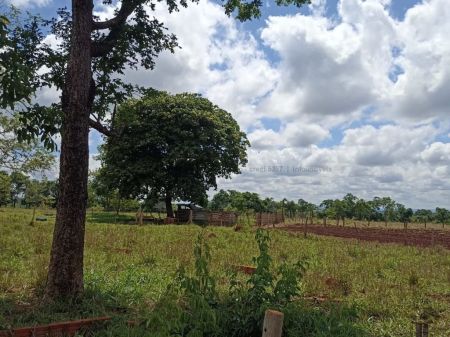 Chácara em Zona Rural