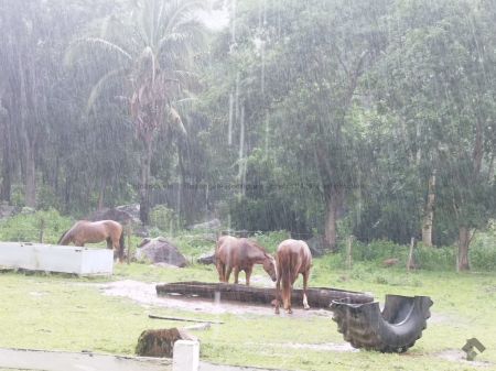 Fazenda em Piraputanga