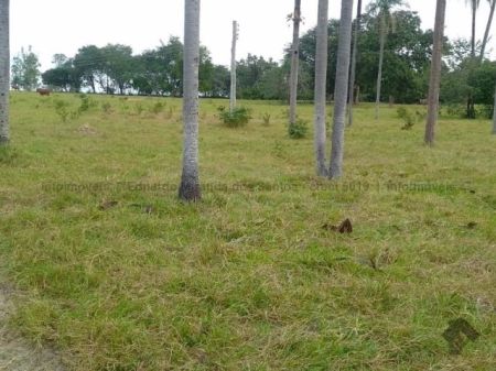 Fazenda em Zona Rural