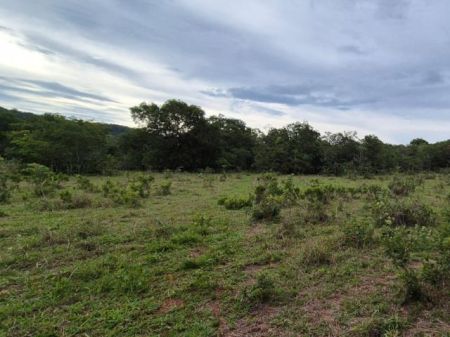 Chácara em Zona Rural