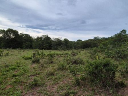 Chácara em Zona Rural