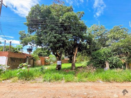 Terreno em Vila Eliane
