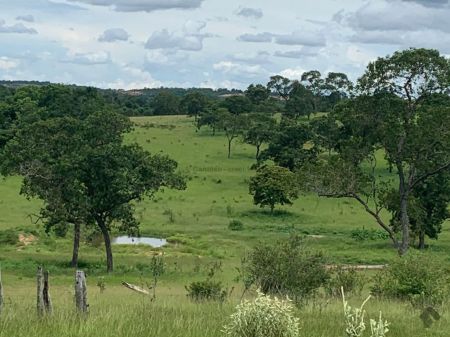 Fazenda em Zona Rural