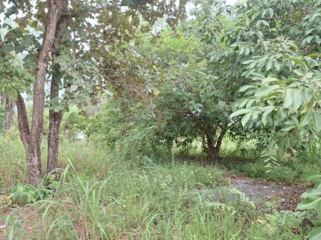 Terreno em Tarumã Hipica Park