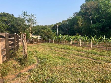 Fazenda em Cipolândia