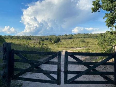Fazenda em Cipolândia