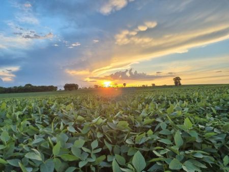 Fazenda em Zona Rural