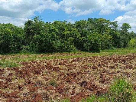 Chácara em Zona Rural