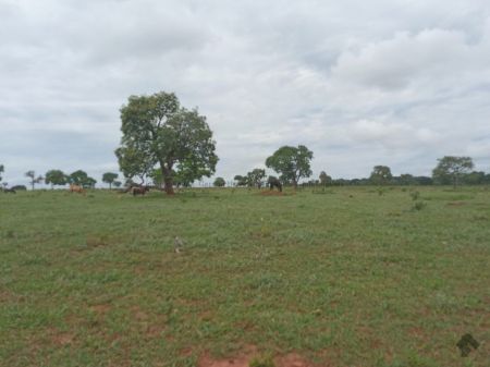 Sitio em Zona Rural