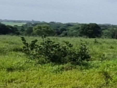 Área em Zona Rural