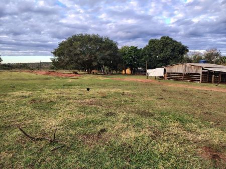 Fazenda em Anhanduí