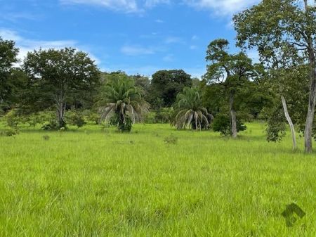 Fazenda em Zona Rural