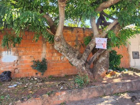 Terreno em Vila Margarida