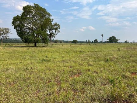 Chácara em Zona Rural